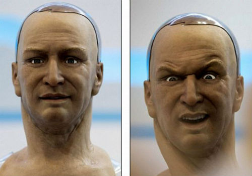 If a robot feels emotions, are they 'real emotions'? (2)