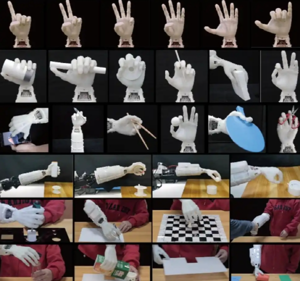 ▲&nbsp;보더 랜드 2 슬롯 머신로&nbsp;다양한&nbsp;손동작을&nbsp;수행할&nbsp;수&nbsp;있다.