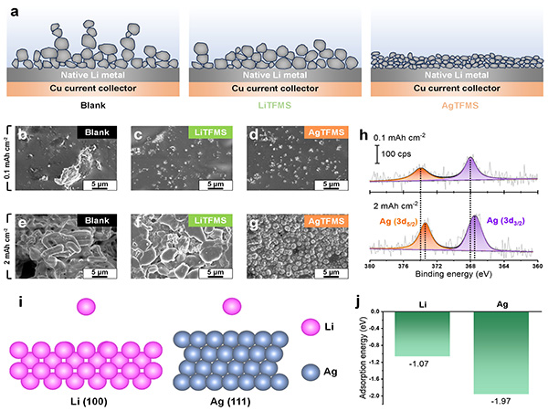 ▲대구경북과학기술원(DGIST)연구진이차세대배터리로꼽히는'안전한 바카라 사이트금속음극전지'의실용화방안을찾아냈다.충전후안전한 바카라 사이트금속음극의전자현미경이미지,연구진이개발한첨가제를사용해분자구조안정성이훨씬높아진이미지를확인할수있다.(이미지=DGIST)