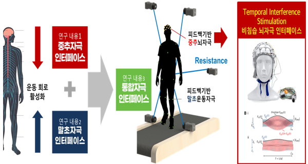 ▲뇌질환 환자의 운동능 회복을 위한 뉴럴 인터페이스 개발 