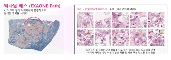 가상 바카라