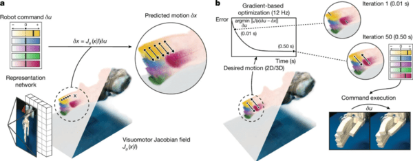 메이저카지노사이트