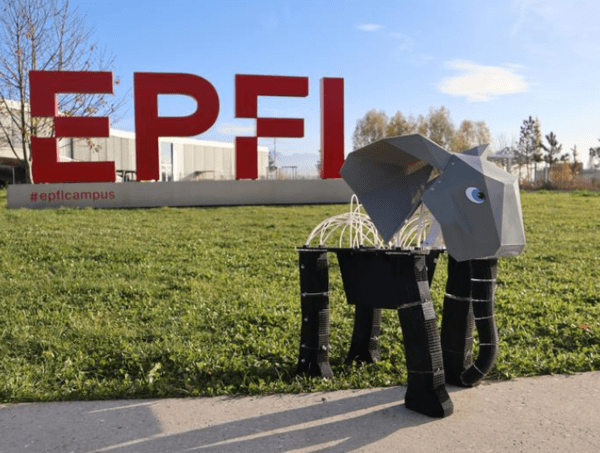 ▲ EPFL 연구팀이 실증을 위해 개발한 코끼리 베네치아 카지노(사진=EPFL)