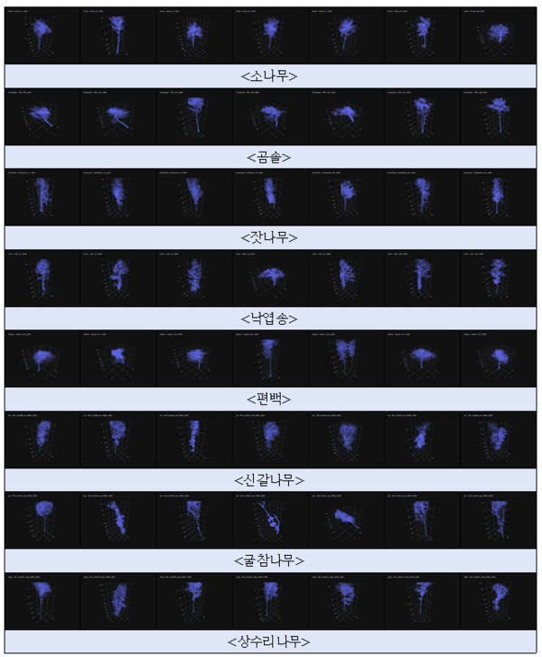 ▲나무 수종별 3차원 점군 학습데이터(사진=국립산림과학원)