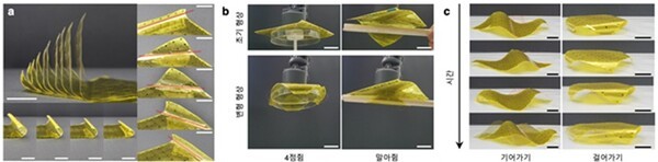 ▲단일 비트 슬롯 종이로부터 유도되는 다양한 형상 변형 및 활용 예시