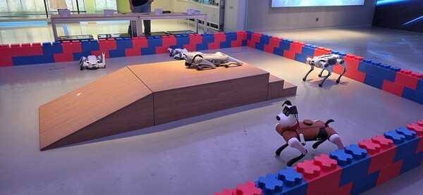 ▲다양한 4족 미미카지노이 돌아다닐 수 있게 만든 공간 