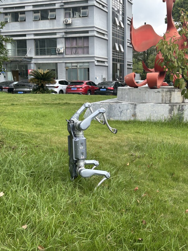▲ 본사 건물 앞 잔디에서 물구나무 서기 동작을 하는 4족 보행 코인 슬롯