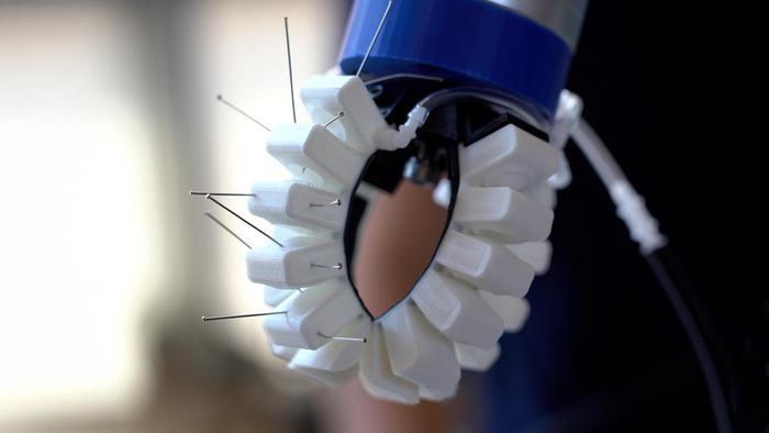 ▲연구팀이 개발한 썬시티카지노 그리퍼