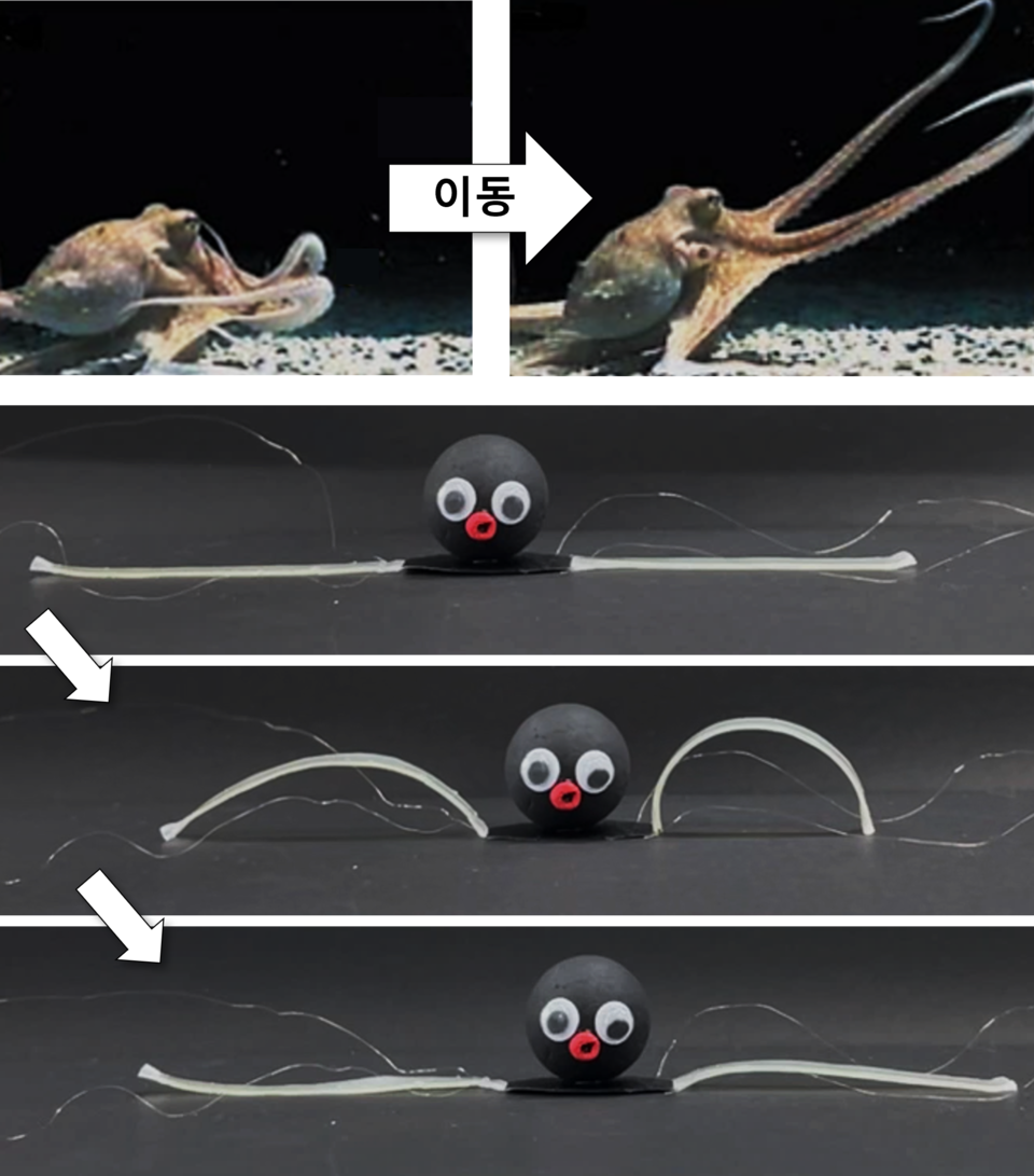 Octoid KIST, 문어처럼 색을 바꾸고 움직이는 소프트 로봇 ‘옥토이드(OCTOID)’ 개발