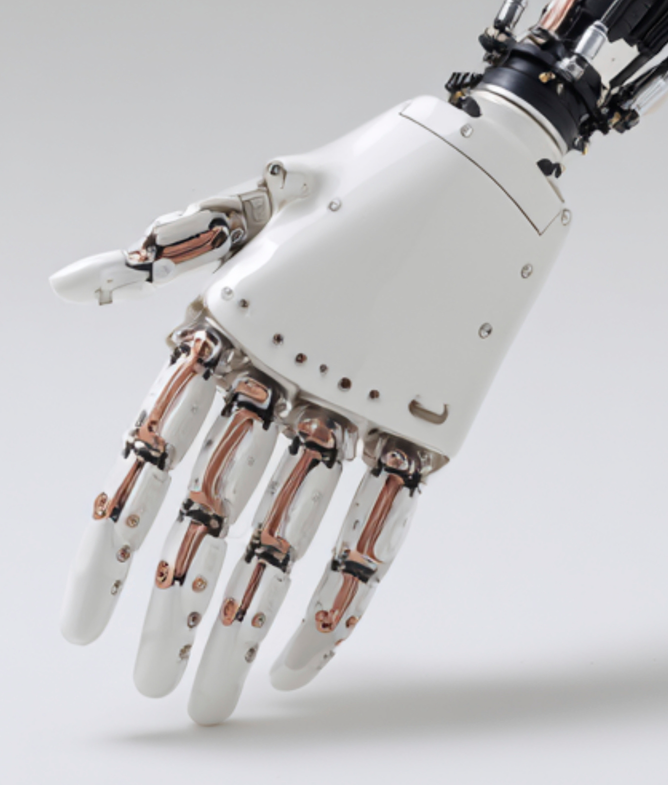 카지노 게임 사이트