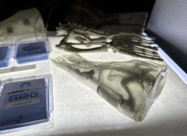 ▲ 3D 프린팅 슬롯생각 골반 모형. (사진=UNLV)