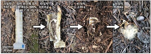 ▲소프트 온라인 카지노 합법 사이트 손가락의 생분해 과정. (사진=한국연구재단)