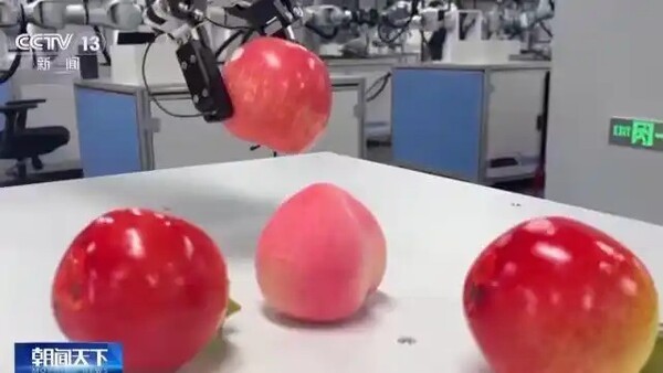 ▲촉각 감지 성능에 중점을 두고 훈련을 받고 있는 온라인 블랙잭 모습. (사진=CCTV)