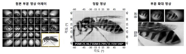 ▲마이크로렌즈 배열로 촬영된 부분 영상들을 결합해 하나의 장면으로 재구성한 결과. (사진=솜사탕카지노)