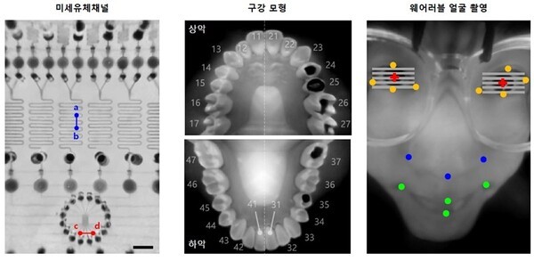 ▲근거리에 미세유체 채널 (피사체와의 거리 20 mm), 구강 모형 (30 mm), 인체 얼굴 (50 mm) 등 실제 대상을 촬영한 결과. (사진=솜사탕카지노)