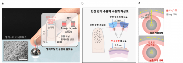 ▲ 그림 1. 멀티모달 룰라벳감각 플랫폼의 원리 및 주요 특성. (사진=서울대) 