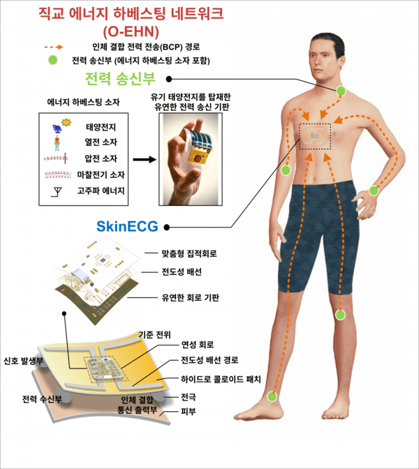 ▲자료1. 배터리 없는 웨어러블 전력공급 기술 개념도 (사진=킹카지노)