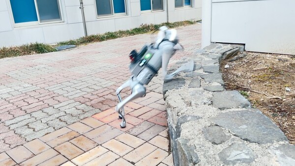 ▲한국기술교육대 한연희 교수 연구팀이 개발한 오월벳 강인 인식 프레임워크를 내재한 유니트리(Unitree) Go1 실환경 파쿠르 실험 장면. (사진=한국기술교육대)