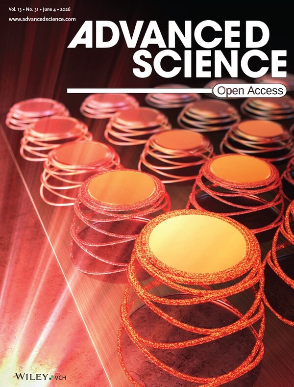▲Advanced Science Inside Back Cover로 선정된 광열 GG카지노 메타모핑 구조 이미지 (자료=KAIST)