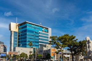 “제주에 특화된 첨단벳위즈산업 키운다”