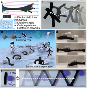 英 브리스톨대, 전기장으로 움직이는 ‘형태 변형’ 소프트 티파니카지노 개발