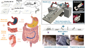 마카오대학, 위장 내부 탐색하는 ‘거미 티파니카지노’ 개발…소화기 질환 진단·치료 방식 혁신 기대