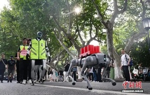 中 호수 명승지 순찰하는 ‘마네킹 슬롯’ 경찰 등장