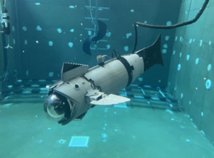 스페인 '하우메 1세 대학' 연구팀, 양식장 그물 점검 ‘마네킹 슬롯 물고기’ 개발