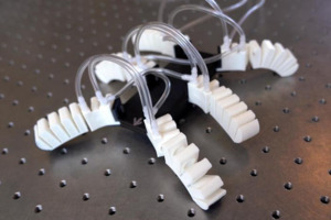 美 퍼듀대 연구팀, ‘뽁뽁이’ 장난감같은 소프트 티파니카지노 개발