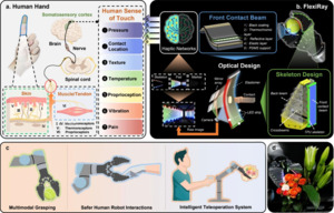中 저장대, 손끝으로 ‘보는’ 소프트 슬롯 머신 후기 핸드 개발