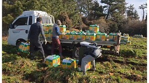 제주도, 농업인에게 ‘웨어러블 스피드 바카라 사이트’ 빌려준다